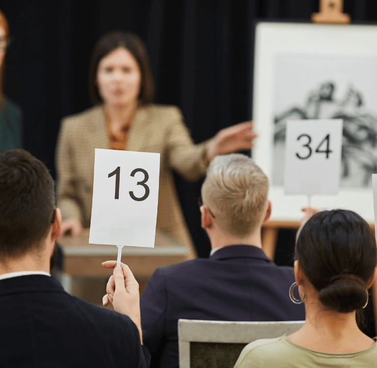 Spectrum Auction software tools